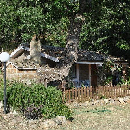 Azienda Agricola Biologica La Cardellina Tolfa Buitenkant foto