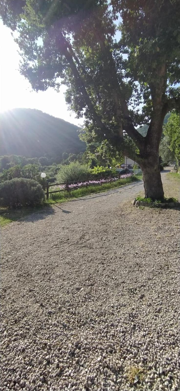 Azienda Agricola Biologica La Cardellina Tolfa Buitenkant foto
