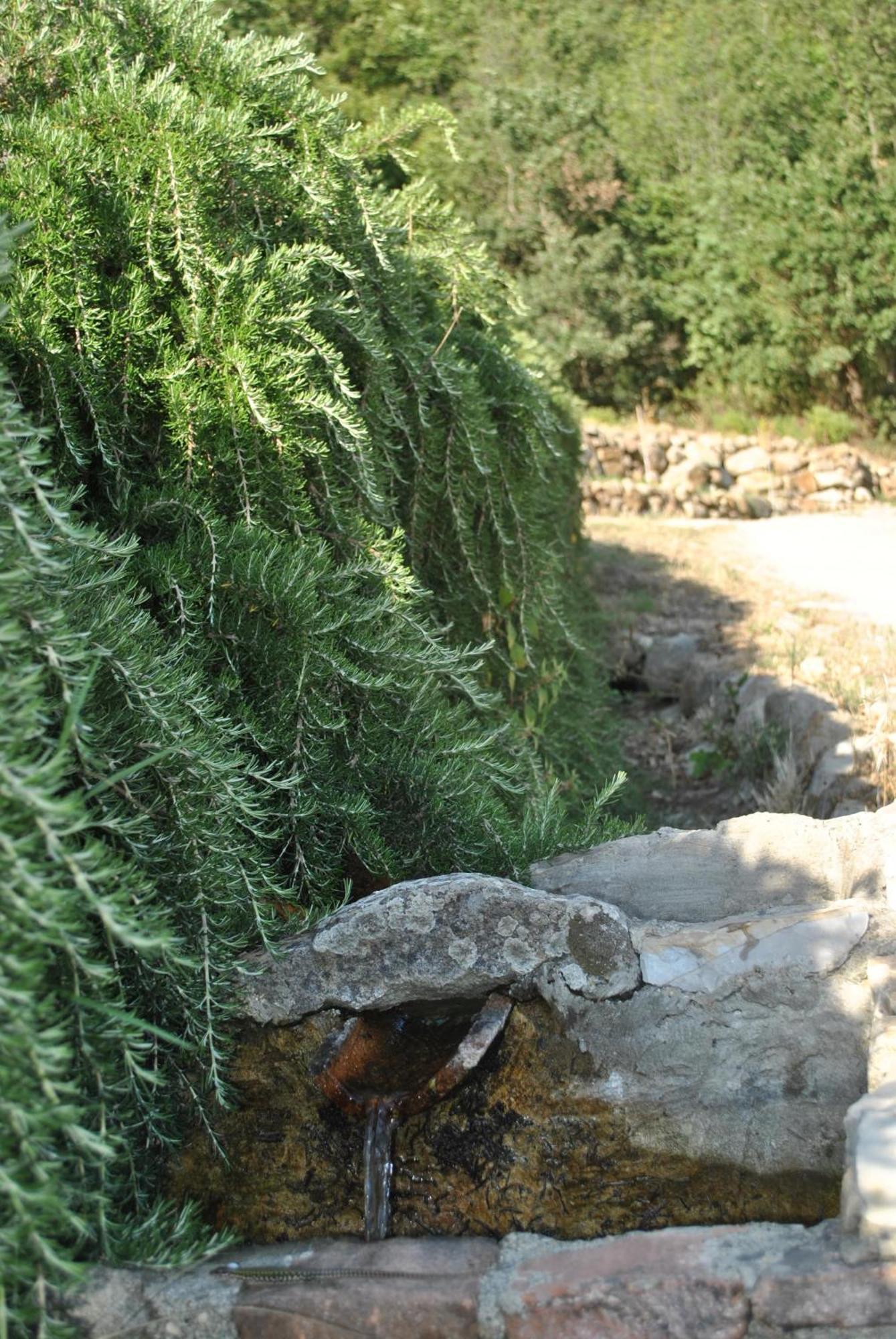 Azienda Agricola Biologica La Cardellina Tolfa Buitenkant foto