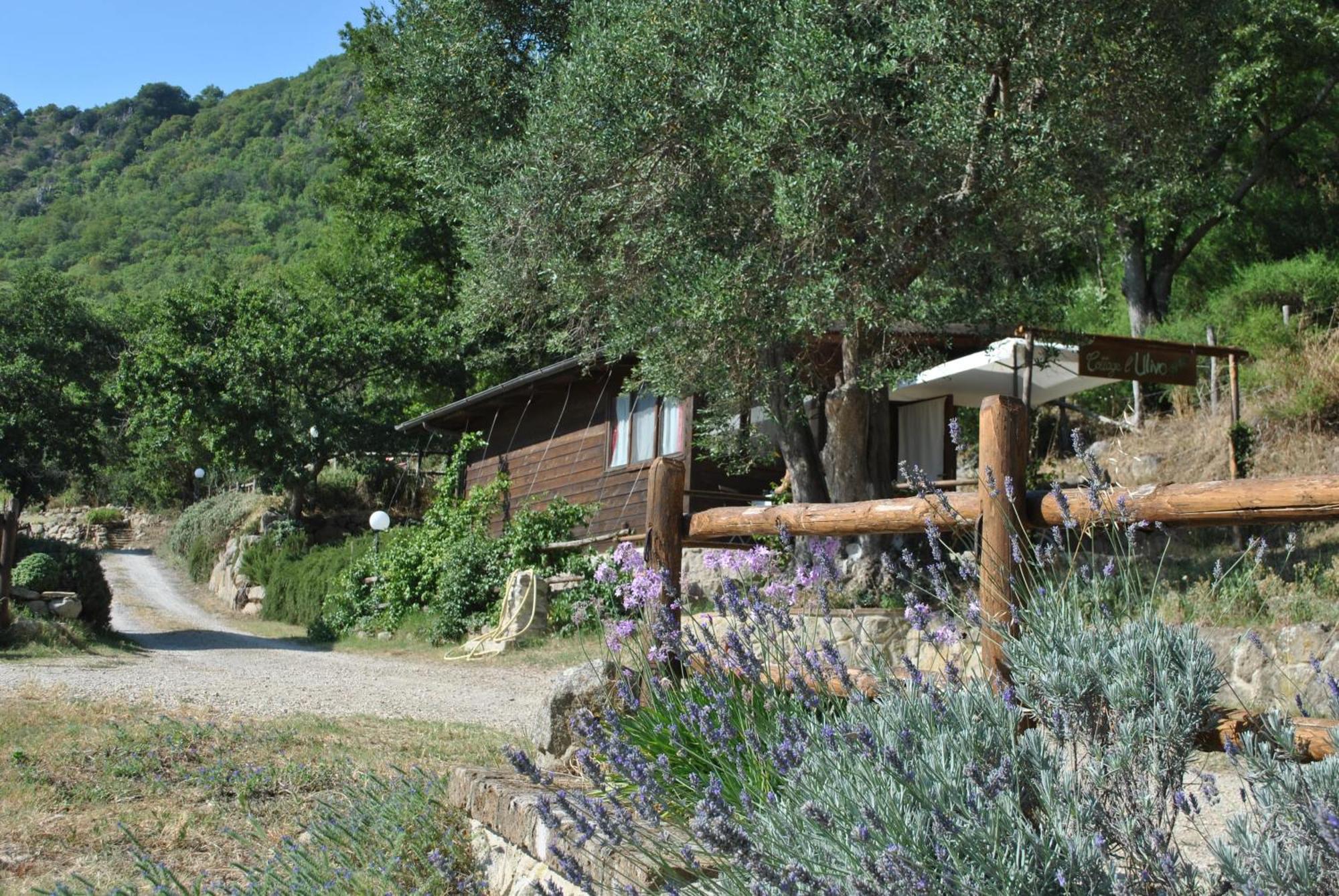 Azienda Agricola Biologica La Cardellina Tolfa Buitenkant foto