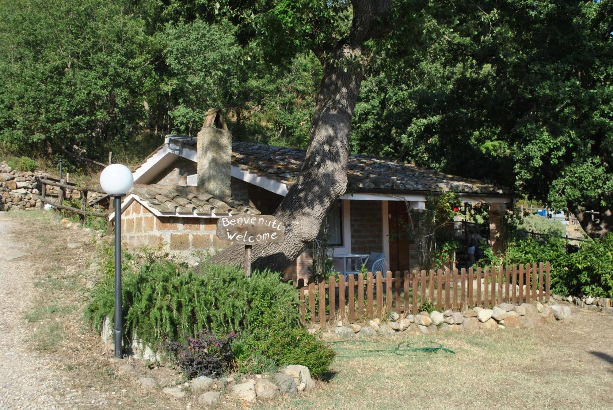 Azienda Agricola Biologica La Cardellina Tolfa Buitenkant foto