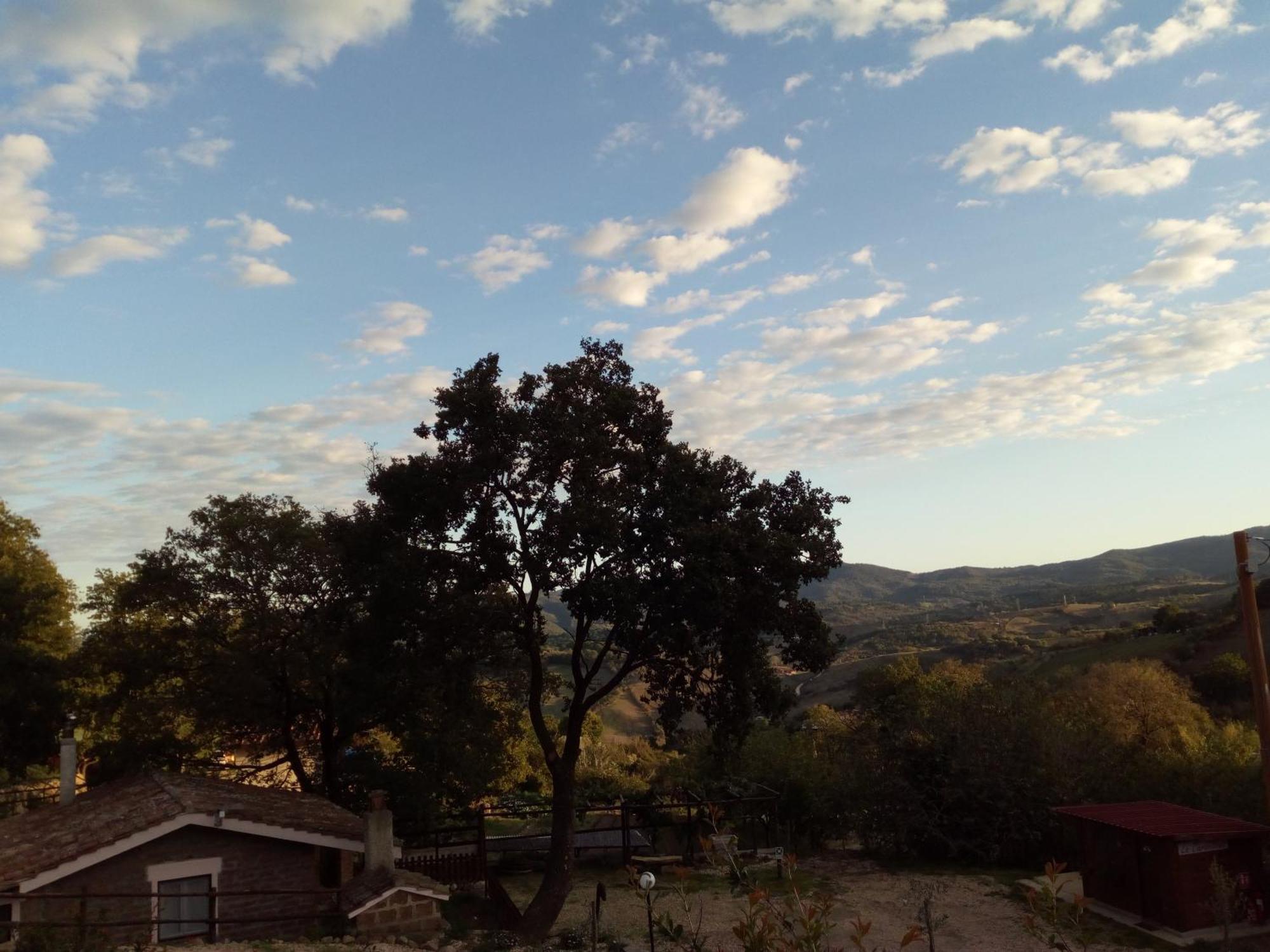 Azienda Agricola Biologica La Cardellina Tolfa Buitenkant foto