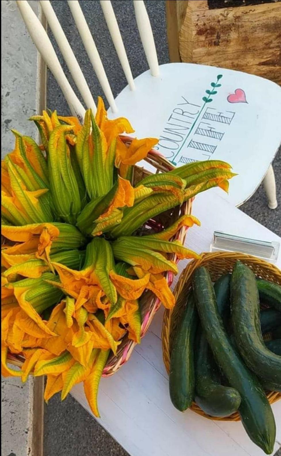 Azienda Agricola Biologica La Cardellina Tolfa Buitenkant foto