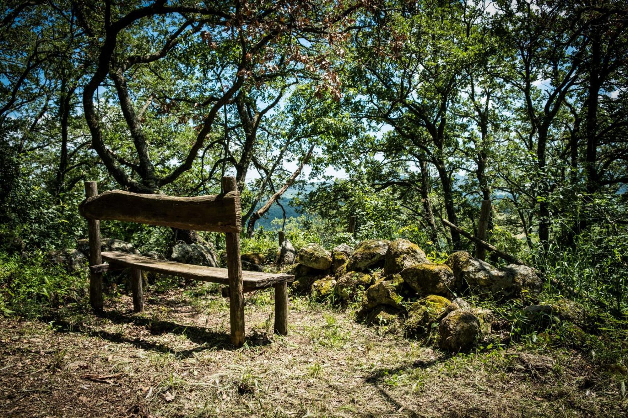 Azienda Agricola Biologica La Cardellina Tolfa Buitenkant foto
