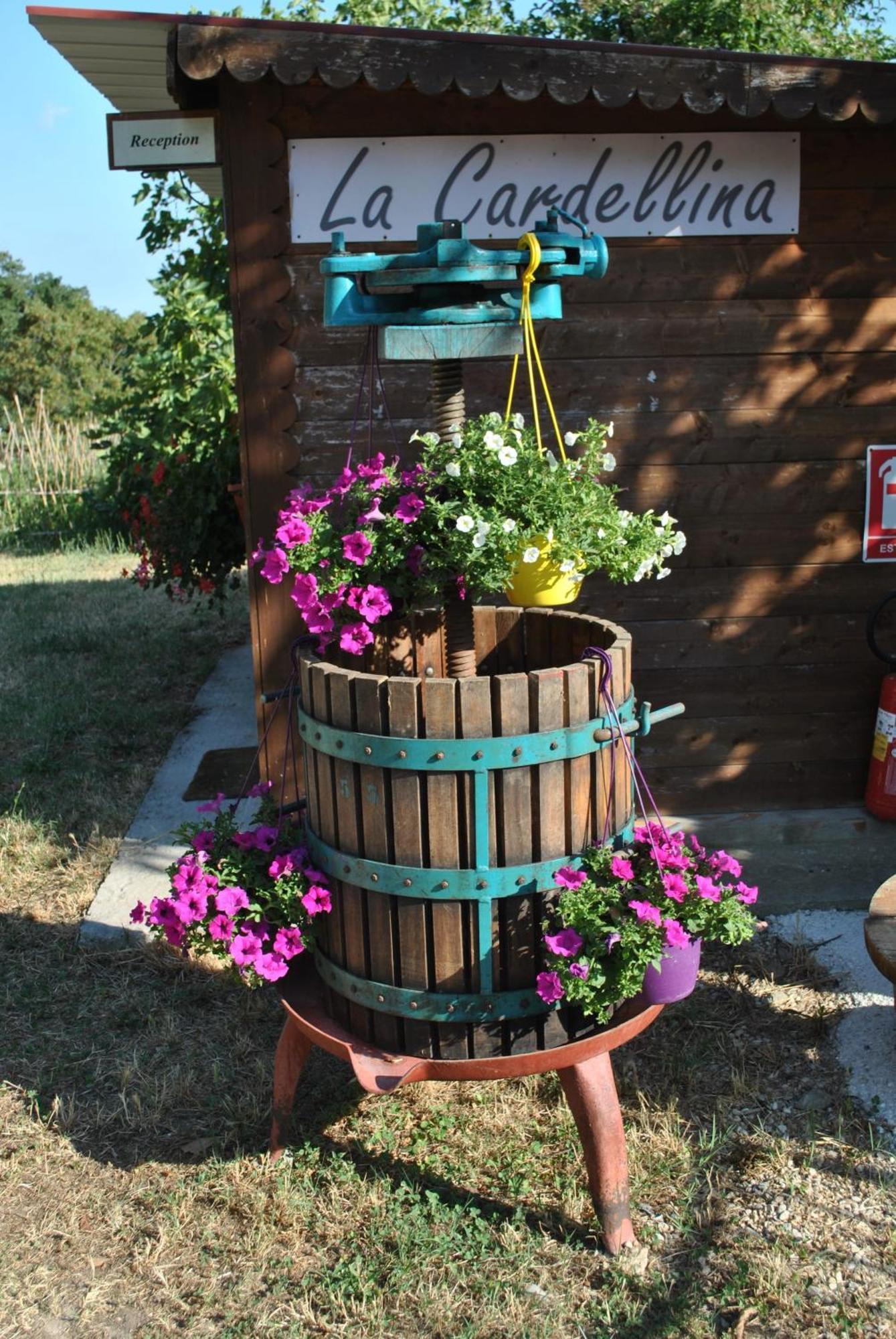 Azienda Agricola Biologica La Cardellina Tolfa Buitenkant foto