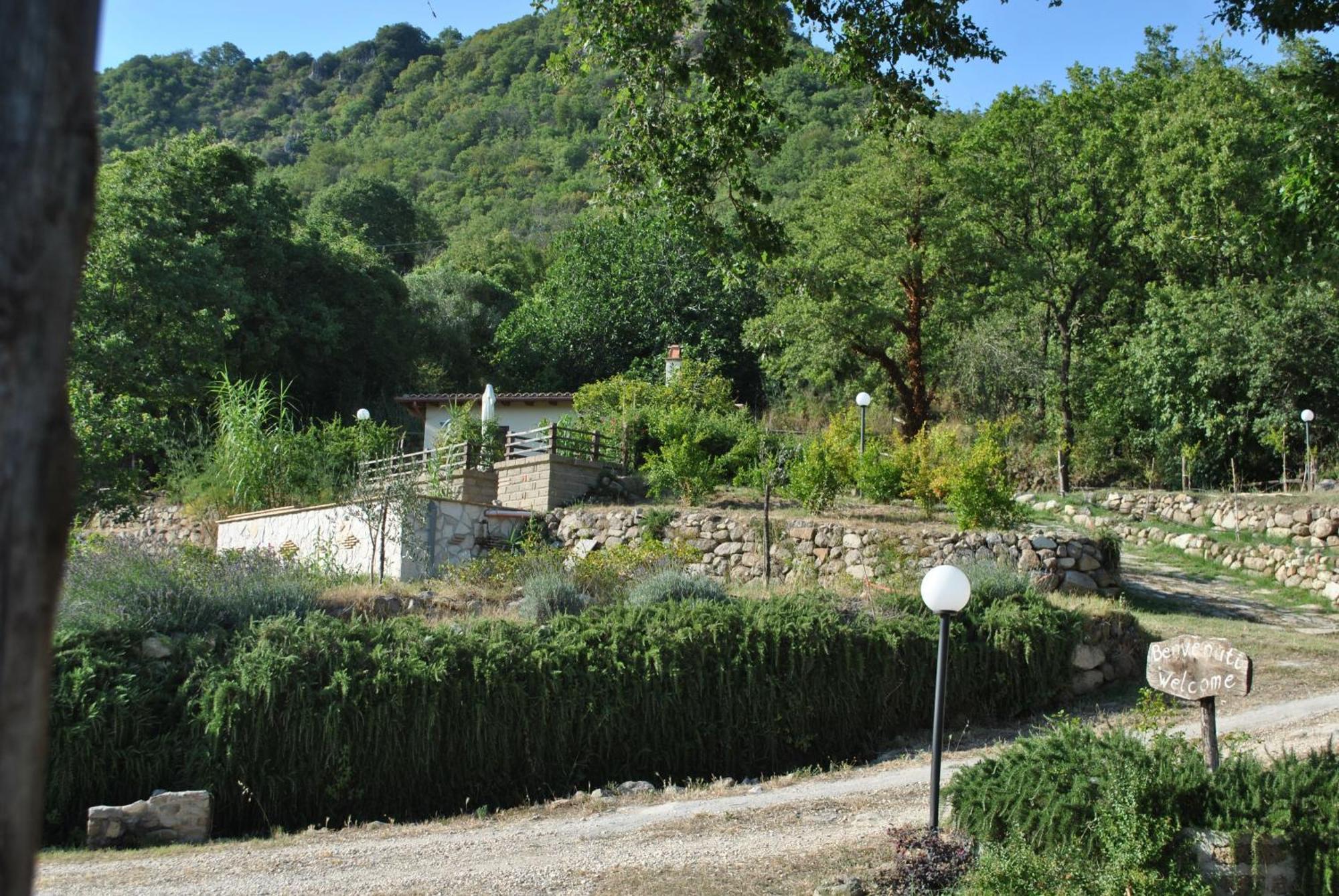 Azienda Agricola Biologica La Cardellina Tolfa Buitenkant foto
