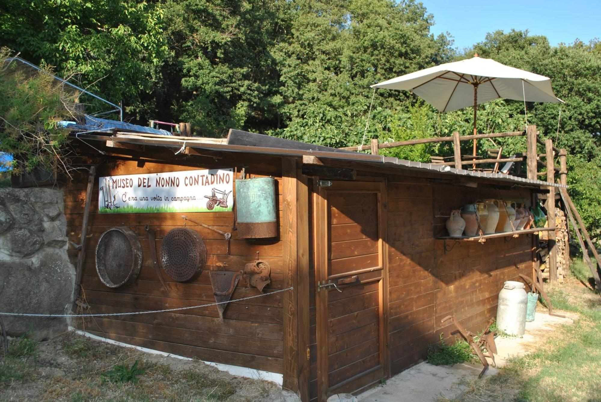 Azienda Agricola Biologica La Cardellina Tolfa Buitenkant foto