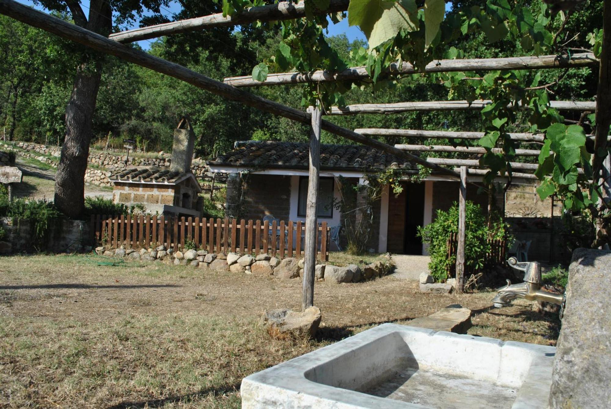 Azienda Agricola Biologica La Cardellina Tolfa Buitenkant foto