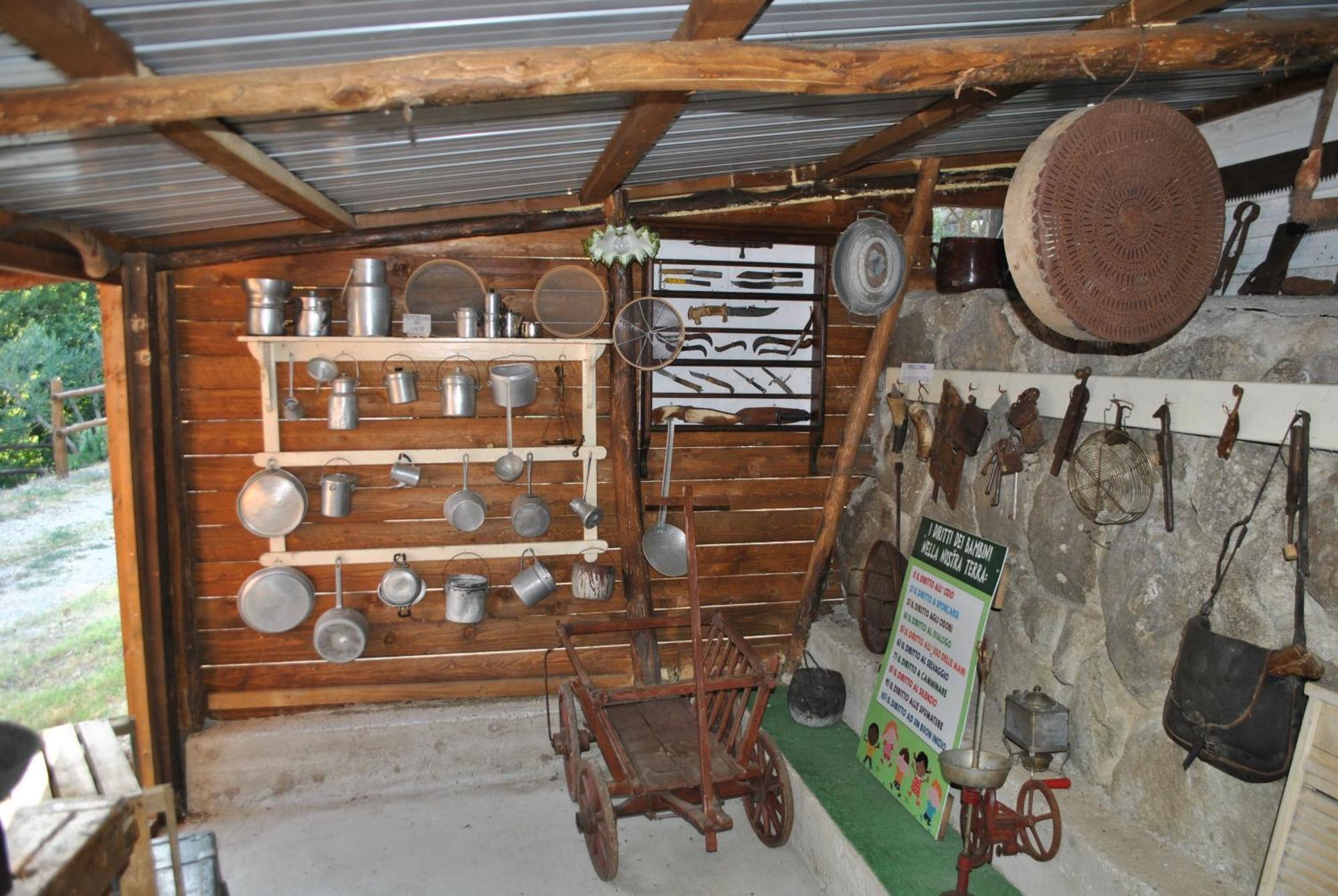 Azienda Agricola Biologica La Cardellina Tolfa Buitenkant foto