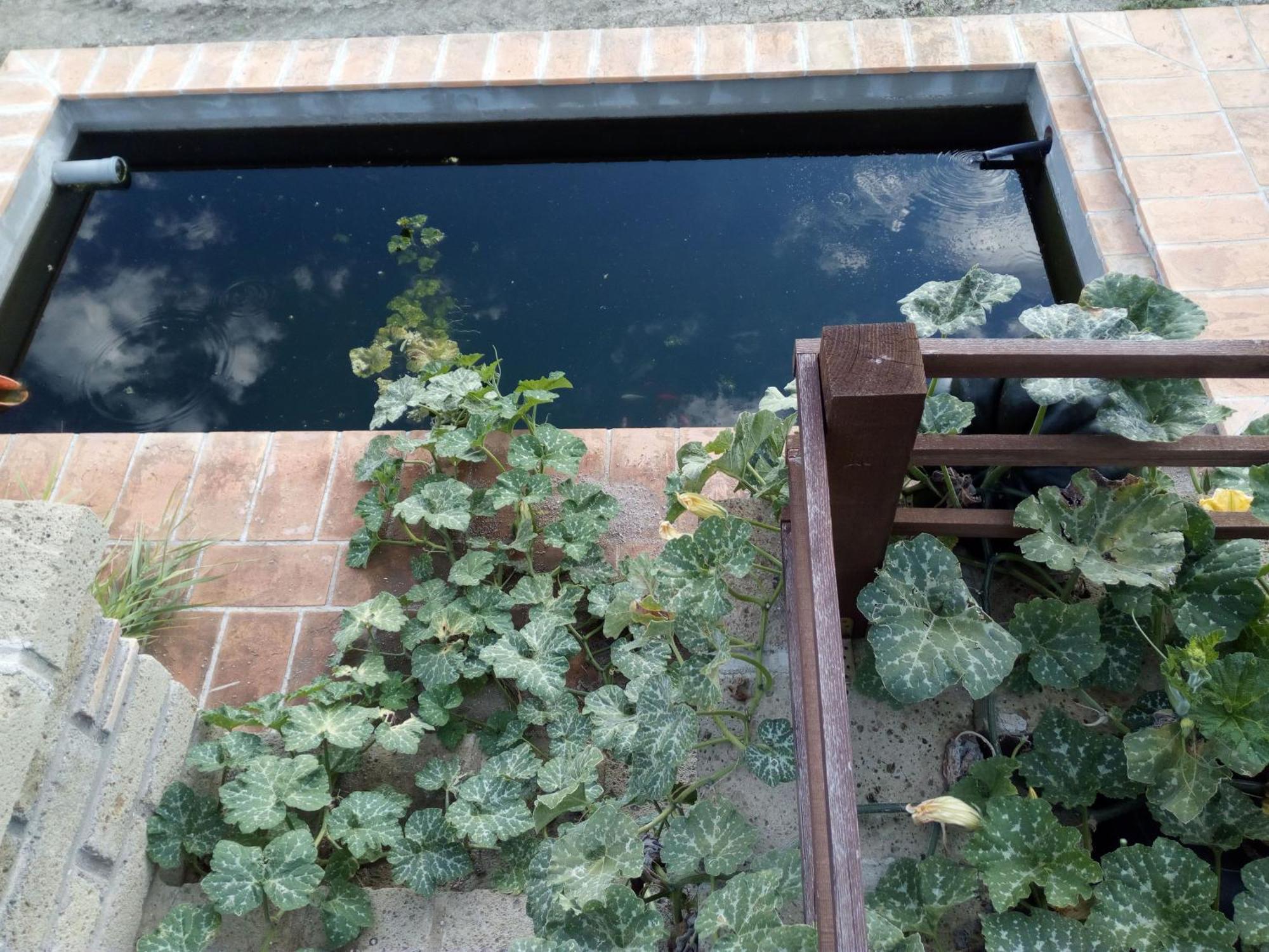 Azienda Agricola Biologica La Cardellina Tolfa Buitenkant foto