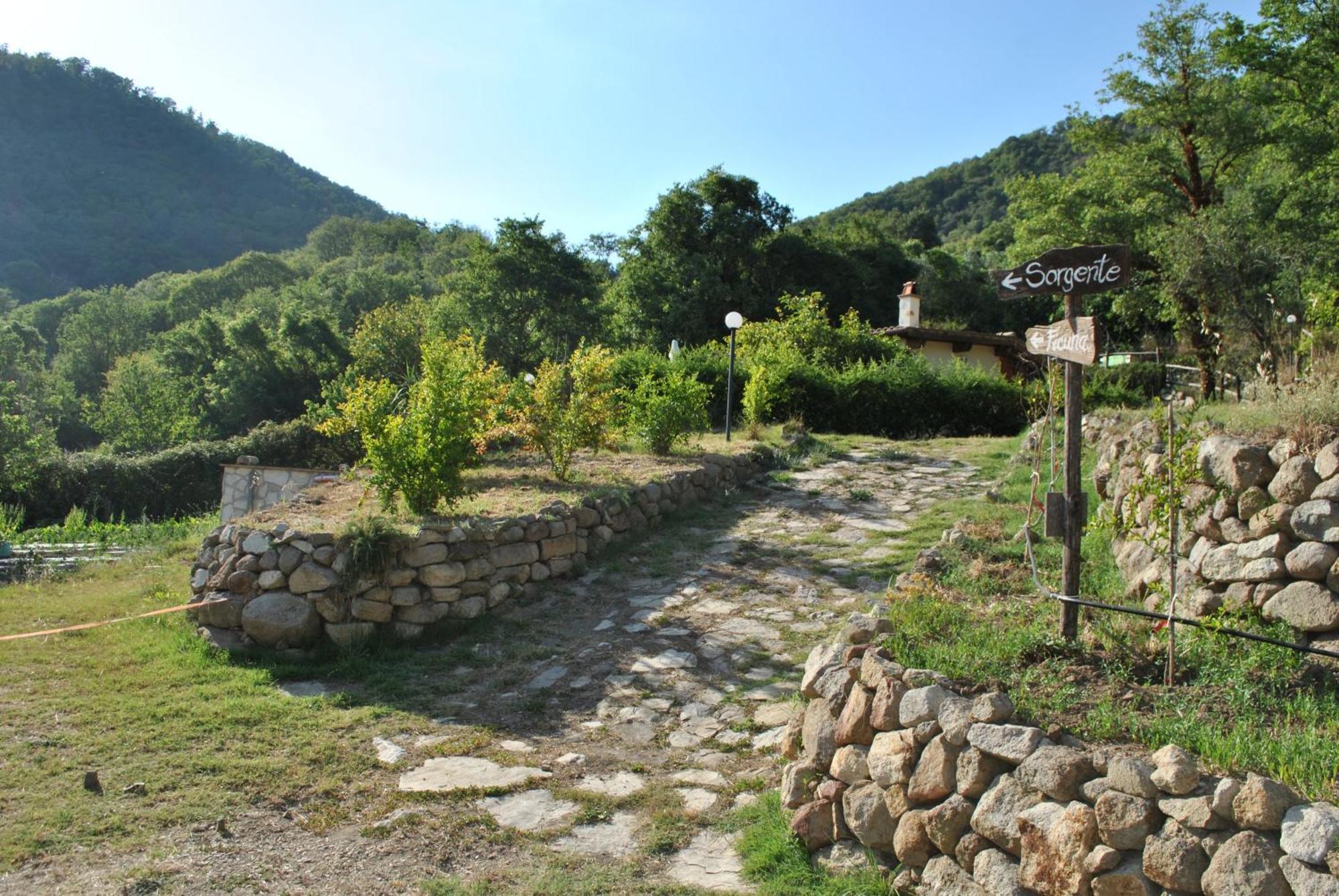 Azienda Agricola Biologica La Cardellina Tolfa Buitenkant foto
