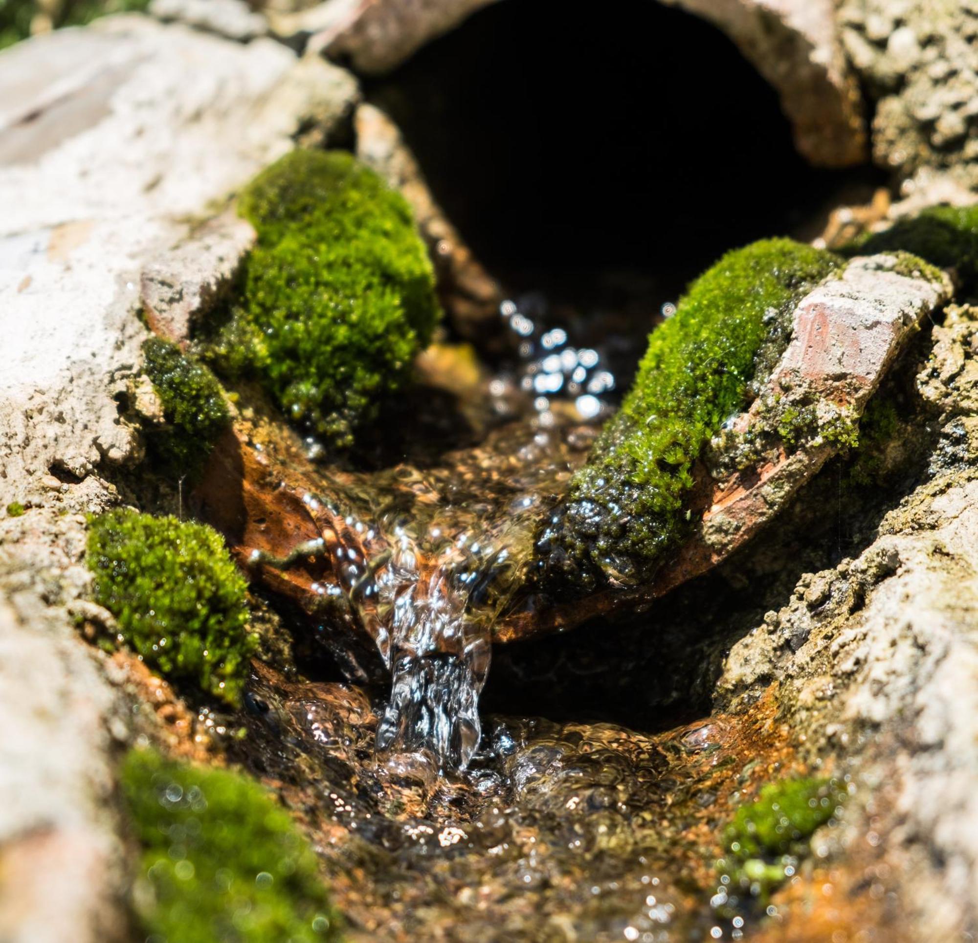 Azienda Agricola Biologica La Cardellina Tolfa Buitenkant foto